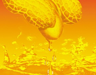 b1